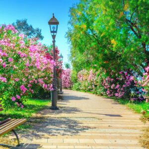 New Garden & Park Poles – Extra Stylish, Durable & Smart Outdoor Lighting