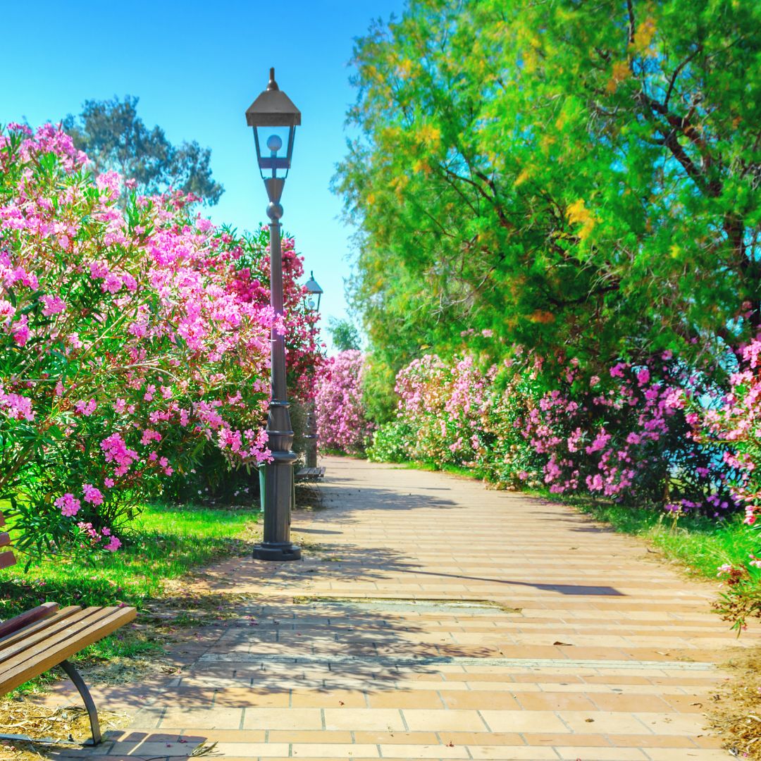 Read more about the article New Garden & Park Poles – Extra Stylish, Durable & Smart Outdoor Lighting